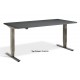 Forge Dual Motor Height Adjustable Desk